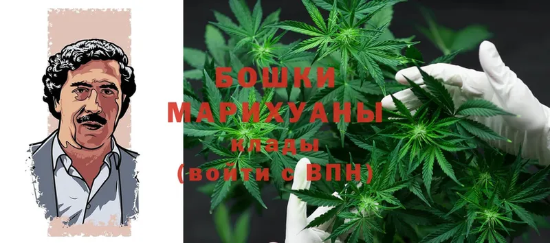 Канабис OG Kush  наркота  Полярные Зори 